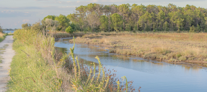 Screenshot 2026-01-15 alle 11.31.03