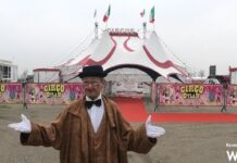 Gianni Rossi, 80 anni di circo. Gli ultimi due spettacoli del circo Dylan a Ravenna