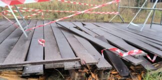 Lega Ravenna: «Stradelli retrodunali del Parco Marittimo in degrado, servono interventi immediati»