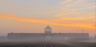 Giorno della Memoria: tutte le iniziative a Ravenna