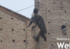 La Befana sfida il maltempo e scende dal cielo al Villaggio di Natale di ADVS Ravenna