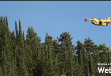 I canadair non utilizzeranno l’aeroporto La Spreta