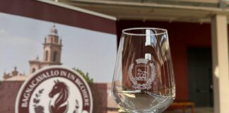 Il vino protagonista a Bagnacavallo: sabato e domenica il nuovo evento all’ex mercato coperto