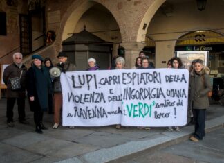 Presidio delle associazioni ambientaliste in difesa dei lupi
