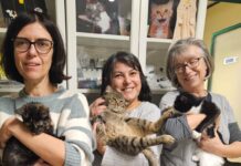 Bilancio 2025 ENPA Lugo: numeri che raccontano l’impegno dei volontari