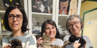 Bilancio 2025 ENPA Lugo: numeri che raccontano l’impegno dei volontari