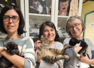 Bilancio 2025 ENPA Lugo: numeri che raccontano l’impegno dei volontari