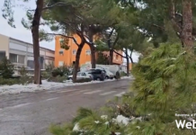 Alpi (Area Liberale): “Troppi disagi in via Fratelli Rosselli”