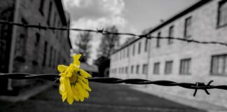 Giorno della Memoria, le iniziative in programma per ricordare le vittime della Shoah