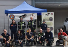 Faenza celebra sant’Antonio Abate con la benedizione degli animali in piazza del Popolo