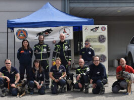 Faenza celebra sant’Antonio Abate con la benedizione degli animali in piazza del Popolo