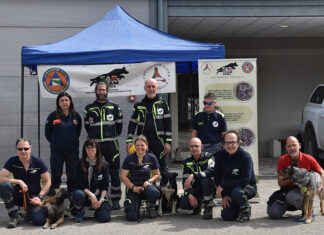 Faenza celebra sant’Antonio Abate con la benedizione degli animali in piazza del Popolo