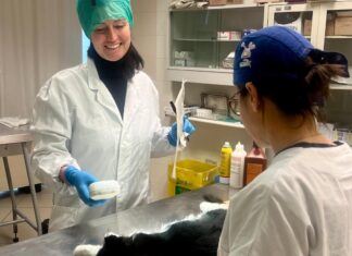 Il 25 gennaio la prima Giornata nazionale della prevenzione veterinaria