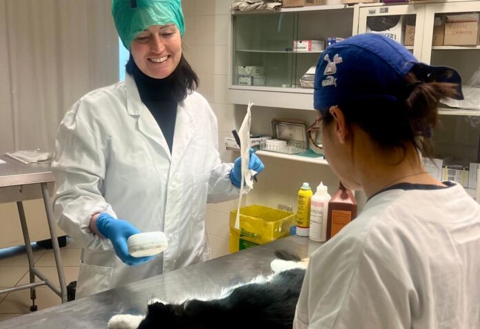 prevenzione veterinaria