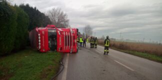 Camion carico di suini si ribalta sulla Statale 16