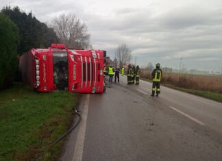 Camion carico di suini si ribalta sulla Statale 16