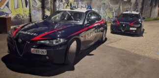 Una cinquantina di furti e tentati furti in una notte: denunciato minorenne