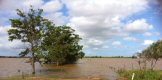 Confagricoltura Ravenna restituisce la quota associativa 2023 agli agricoltori colpiti dall’alluvione