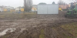 Alpi (Area Liberale): “Verde pubblico trascurato e mancanza di buon senso”