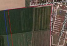 Ravenna In Comune: Lido di Dante. Coerenza a prova di cemento