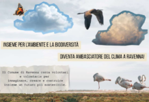 Ambasciatori del clima: chiamata pubblica per formare un gruppo di volontari