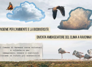 Ambasciatori del clima: chiamata pubblica per formare un gruppo di volontari