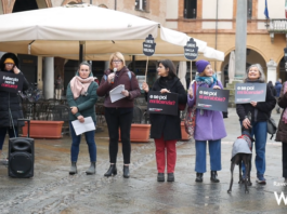 DDL Stupro. Protesta in piazza: “Il silenzio non è consenso”
