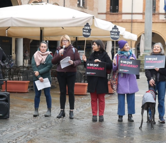 DDL Stupro. Protesta in piazza: “Il silenzio non è consenso”