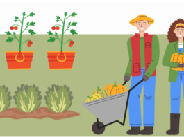 Giovedì 19 inizia il corso “Il bello di coltivare la vita”, dedicato a chi ama l’orto