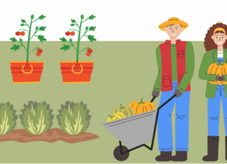 Giovedì 19 inizia il corso “Il bello di coltivare la vita”, dedicato a chi ama l’orto