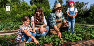 Lugo: ripartono i «World Café» sull’orticoltura, ciclo di incontri per promuovere la cultura del verde