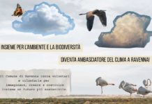 Ravenna cerca “Ambasciatori del clima”: volontari per educare e sensibilizzare sull’emergenza ambientale