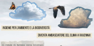 Ravenna cerca “Ambasciatori del clima”: volontari per educare e sensibilizzare sull’emergenza ambientale