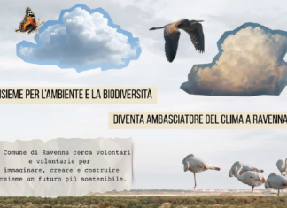 Ravenna cerca “Ambasciatori del clima”: volontari per educare e sensibilizzare sull’emergenza ambientale