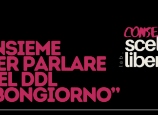 Linea Rosa domenica in piazza a Ravenna contro il DDL “Bongiorno”