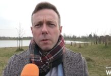 Riforestazione, “Viale Europa? Il lavoro è finito. Altre piantumazioni in programma sul territorio”