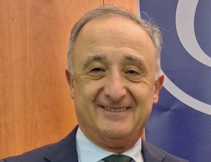 bacchilega-samore-317155