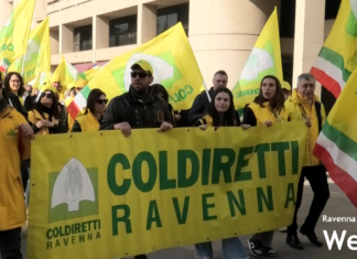 Milleproroghe, Coldiretti: “Bene la proroga della revisione, coinvolti 2 milioni di trattori”