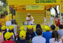 Educazione alimentare a scuola, Coldiretti ER lancia il webinar “A Scuola di Buon Cibo!”