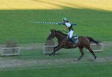 L’Unione Nazionale Veterani dello Sport consegna i premi annuali