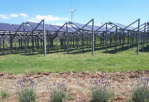 Aree idonee per impianti a energia rinnovabile: si va verso nuove norme