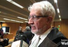 Condanna Mauro Guerra: LAV soddisfatta. La difesa annuncia ricorso