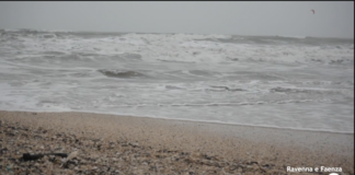 Il mare avanza e la subsidenza aumenta: necessaria una nuova strategia di difesa della costa