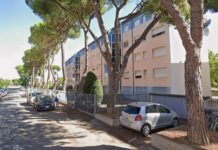 Ravenna, abbattimenti di alberi a carte coperte?