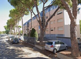 Ravenna, abbattimenti di alberi a carte coperte?