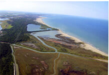 Pubblicato il progetto: salvata la duna di Porto Corsini